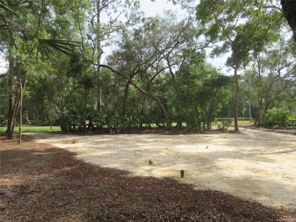 Picture 31