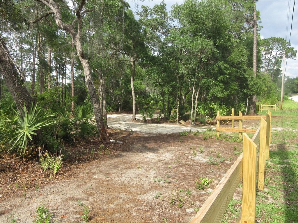 Picture 23