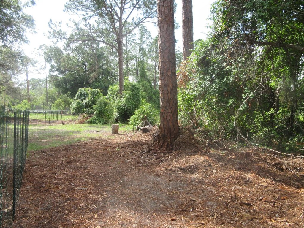Picture 15