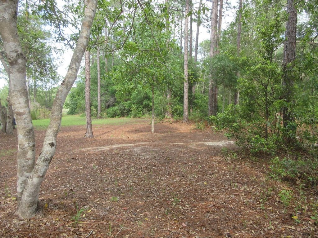 Picture 17
