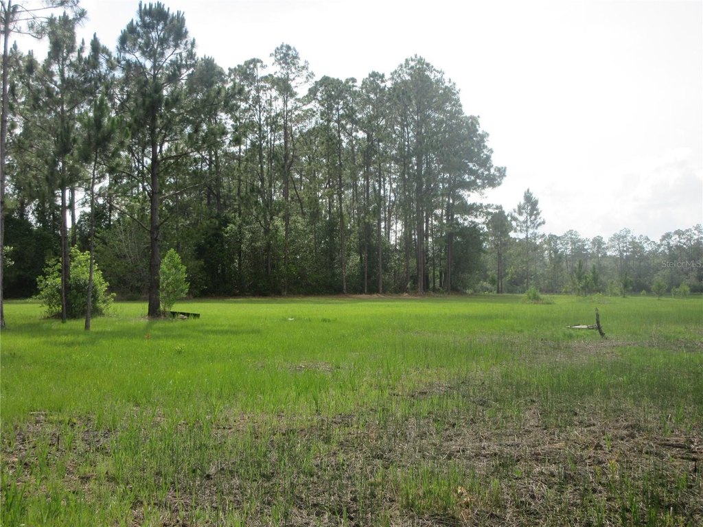 Picture 7