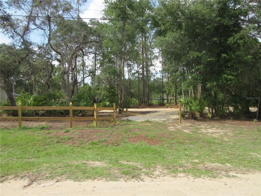 Picture 20