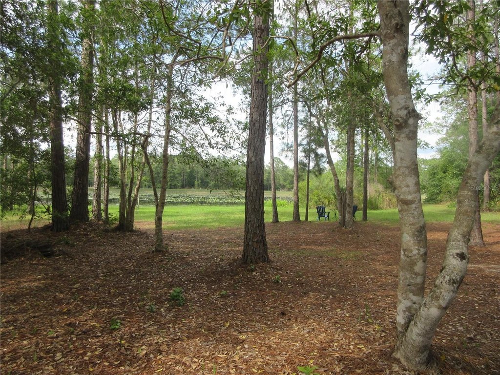 Picture 18