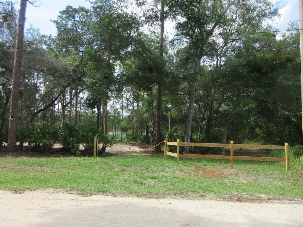 Picture 19