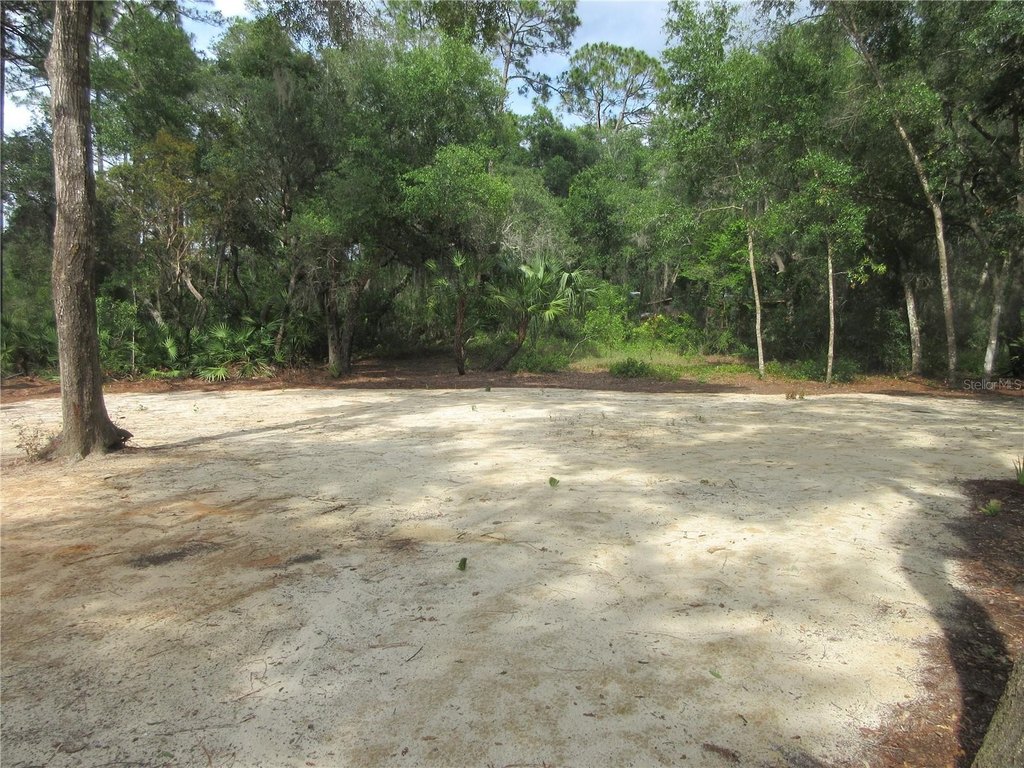 Picture 26