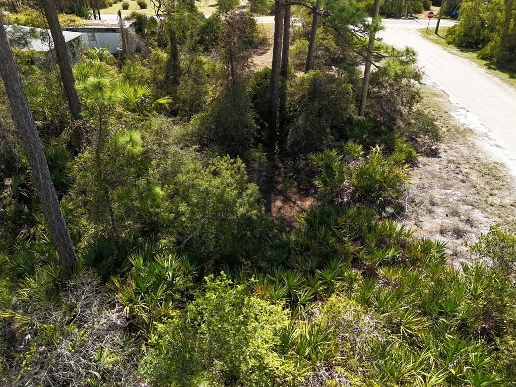 Picture 6