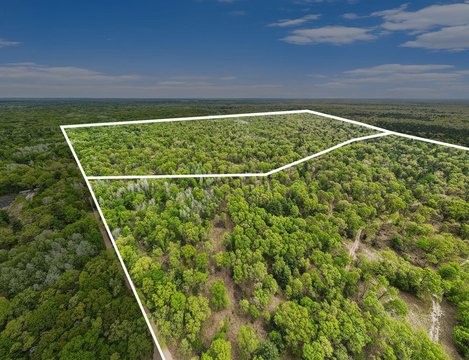 Large Wooded Acreage Near Forest