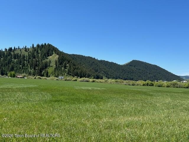 Afton Land with Water Rights
