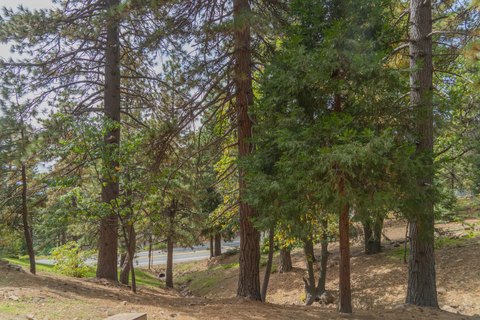 Downslope Lot in Running Springs