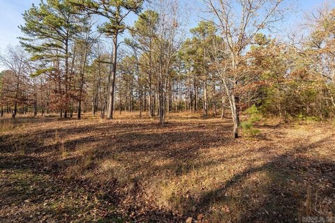Heber Springs Wooded Subdivision Lot