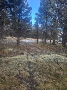 Dorris, CA Level Lot