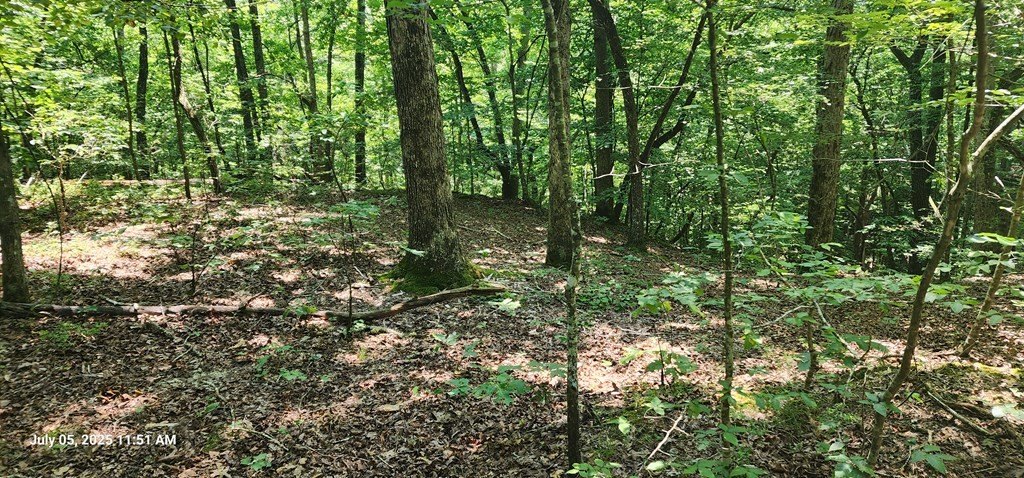 Picture 6