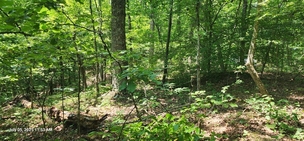Picture 2