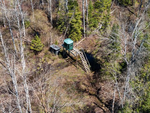 Wolverine, MI Hunting/Recreation Land