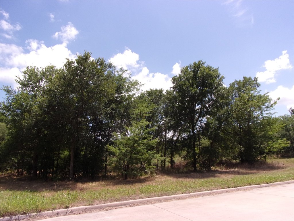 Picture 16
