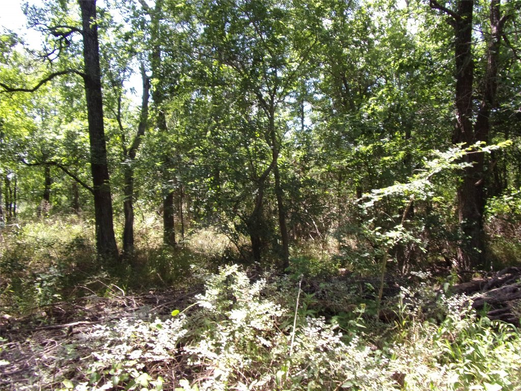 Picture 13