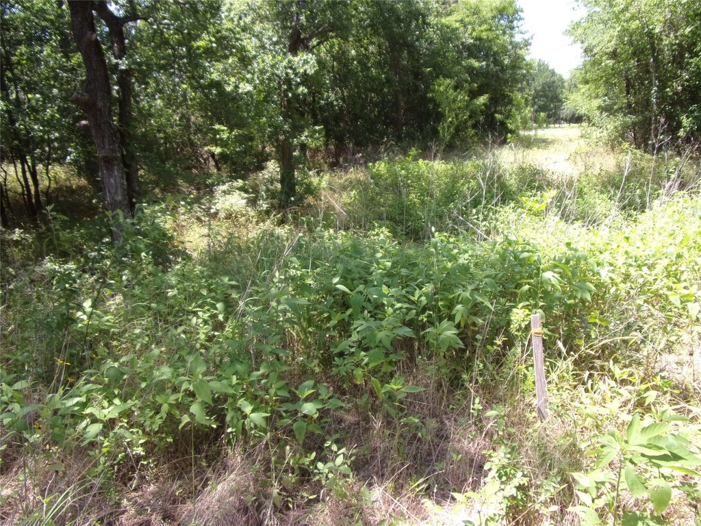 Picture 12