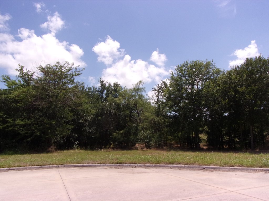 Picture 15