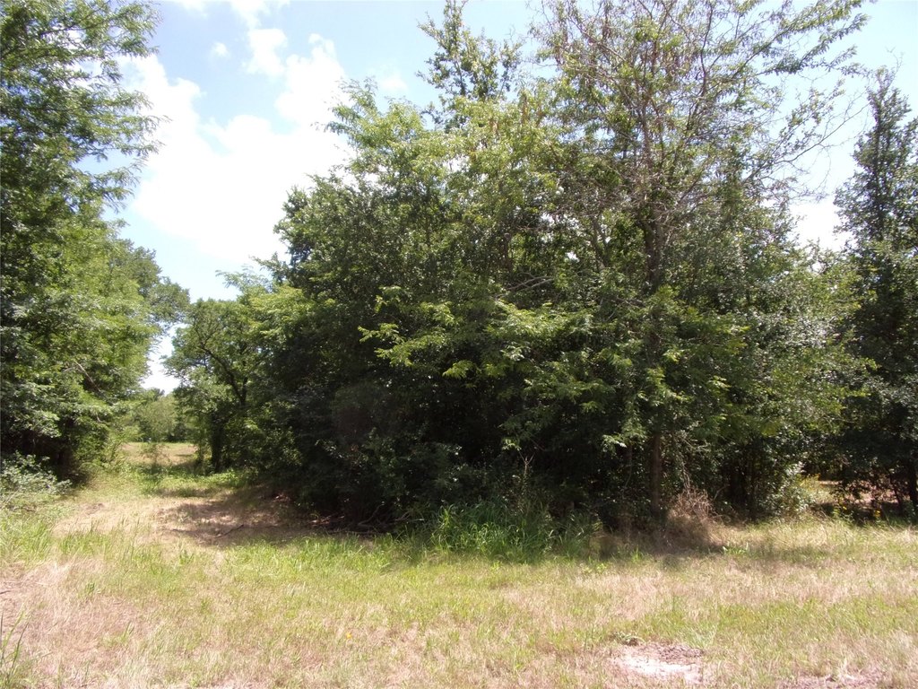 Picture 14