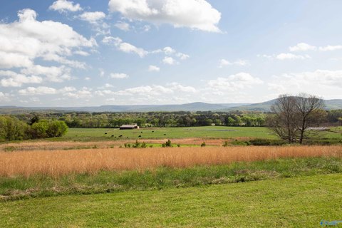 LAND - Brownsboro, AL