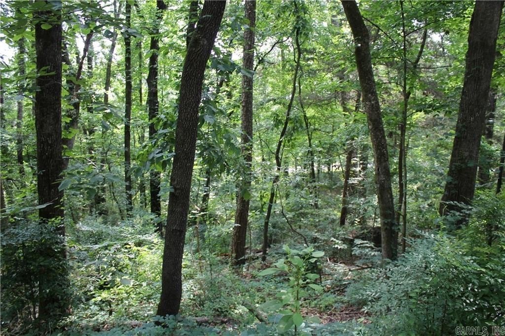 Picture 8