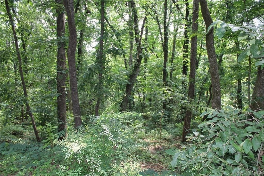 Picture 7