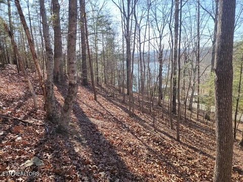 Residential Land with Lake Views