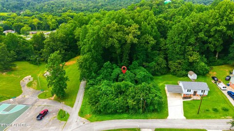 Lots & Acreage, Rockwood, TN