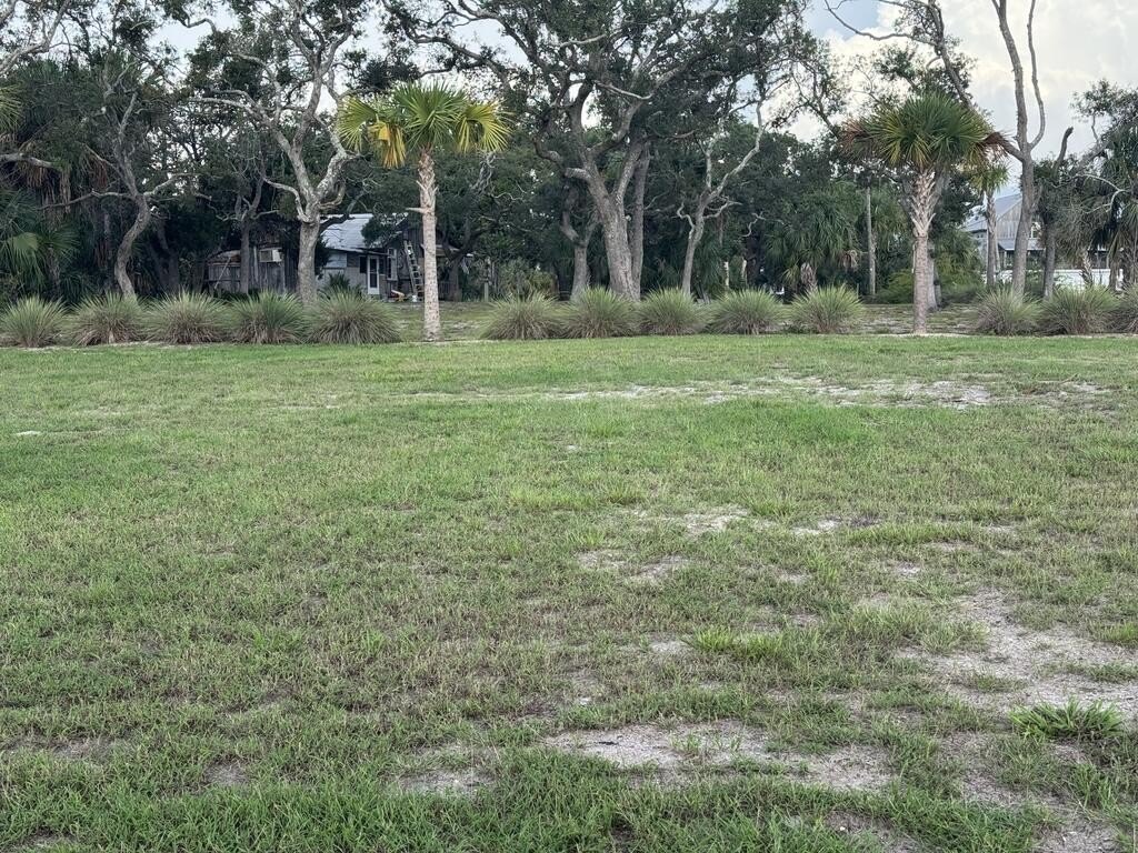 Picture 5