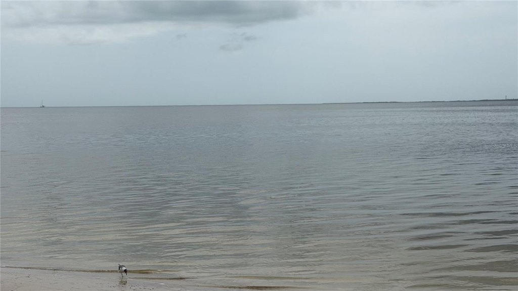 Picture 15