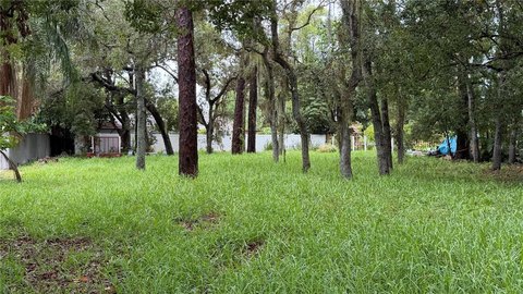 LAND - TARPON SPRINGS, FL