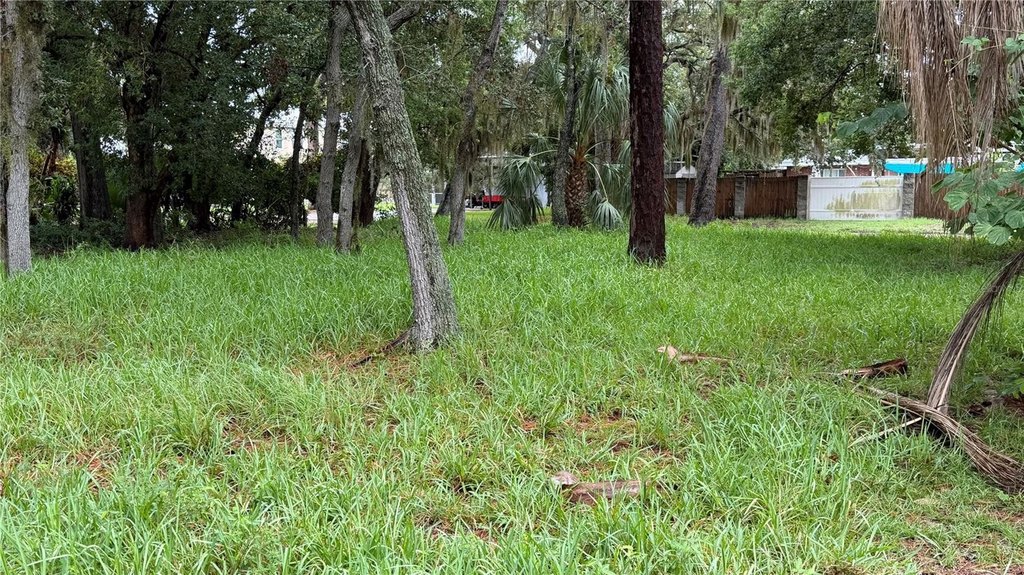 Picture 4