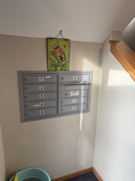 Picture 14