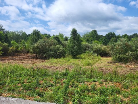 Crossville Land Parcel For Sale
