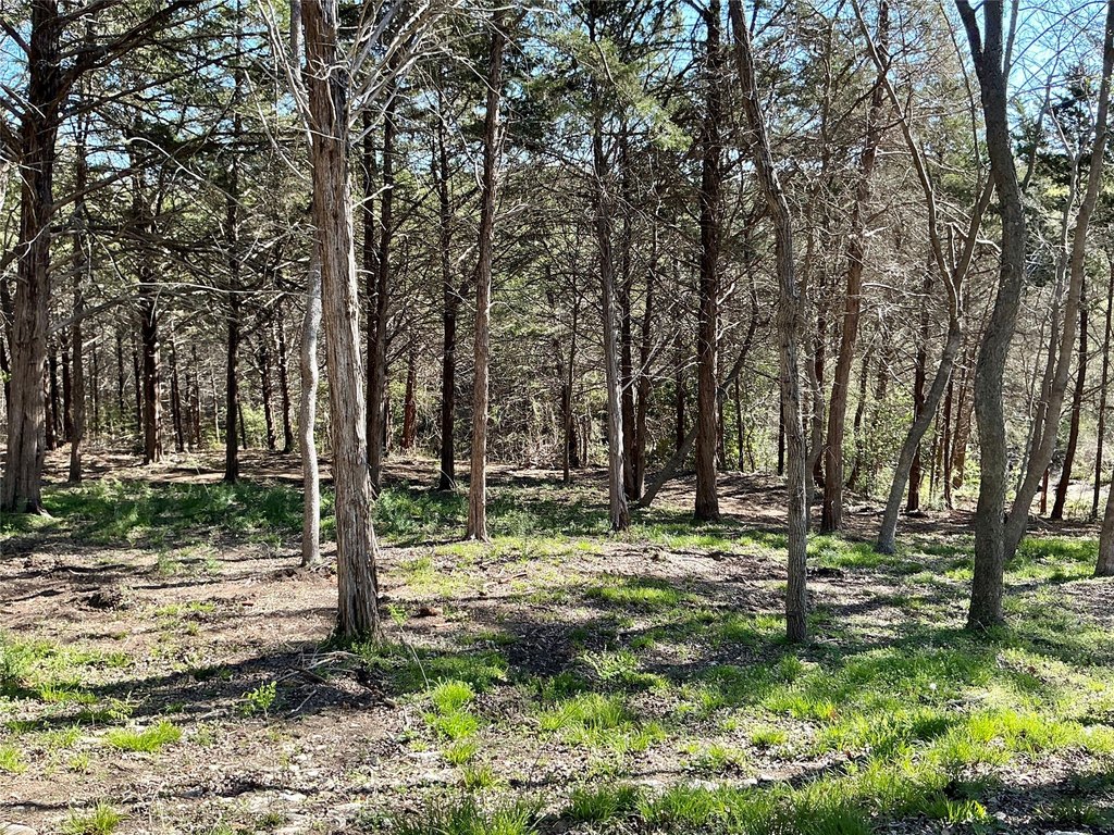 Picture 17