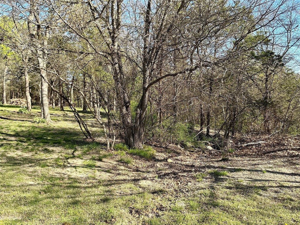 Picture 9