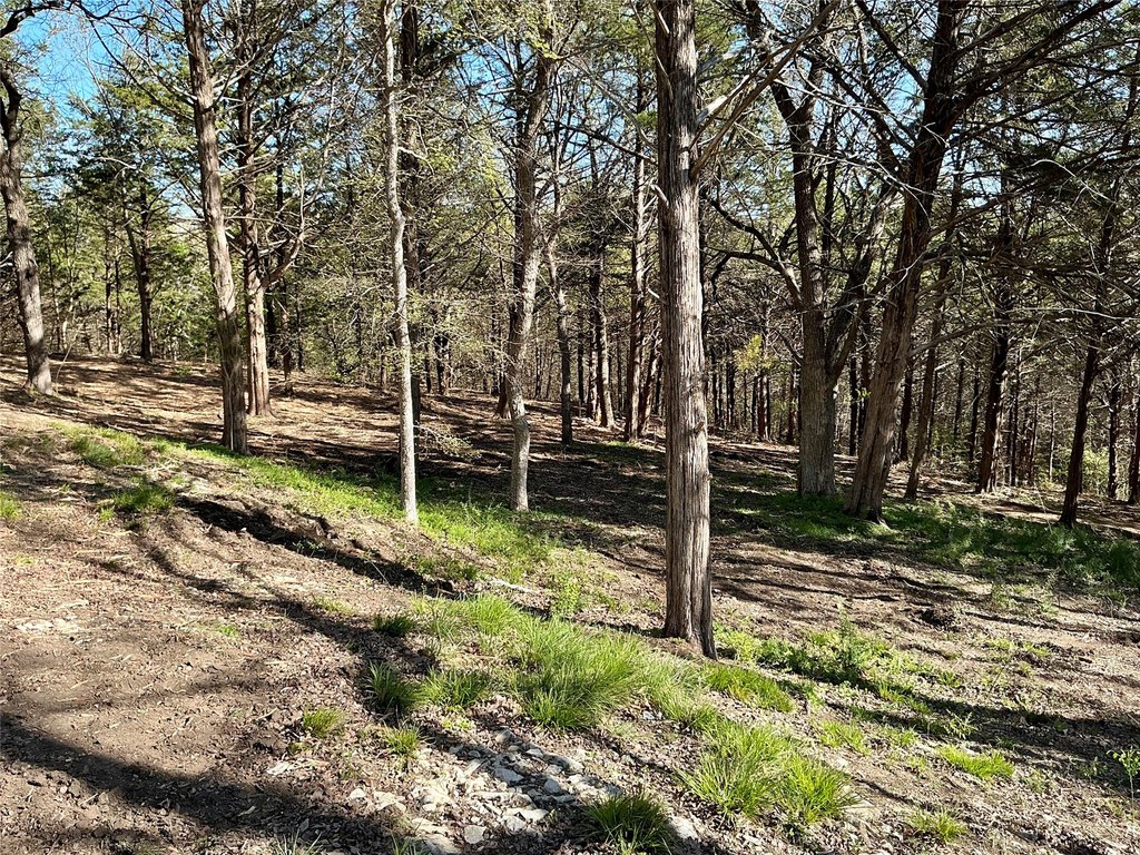 Picture 19