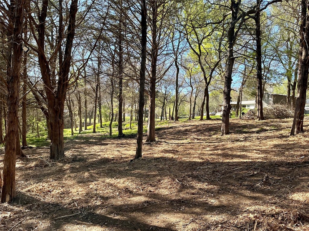 Picture 22