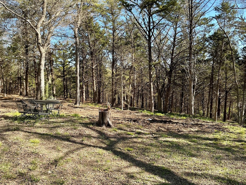 Picture 14