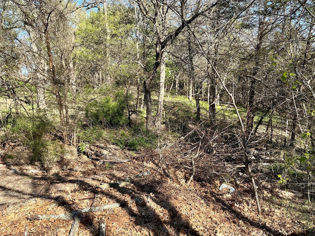 Picture 11