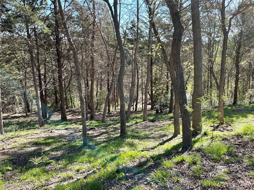 Picture 16