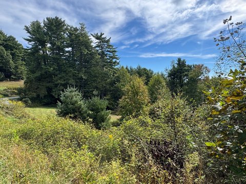 Land, Newland, NC