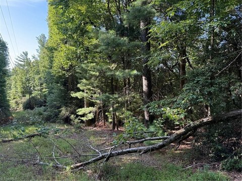 Land, Millers Creek, NC