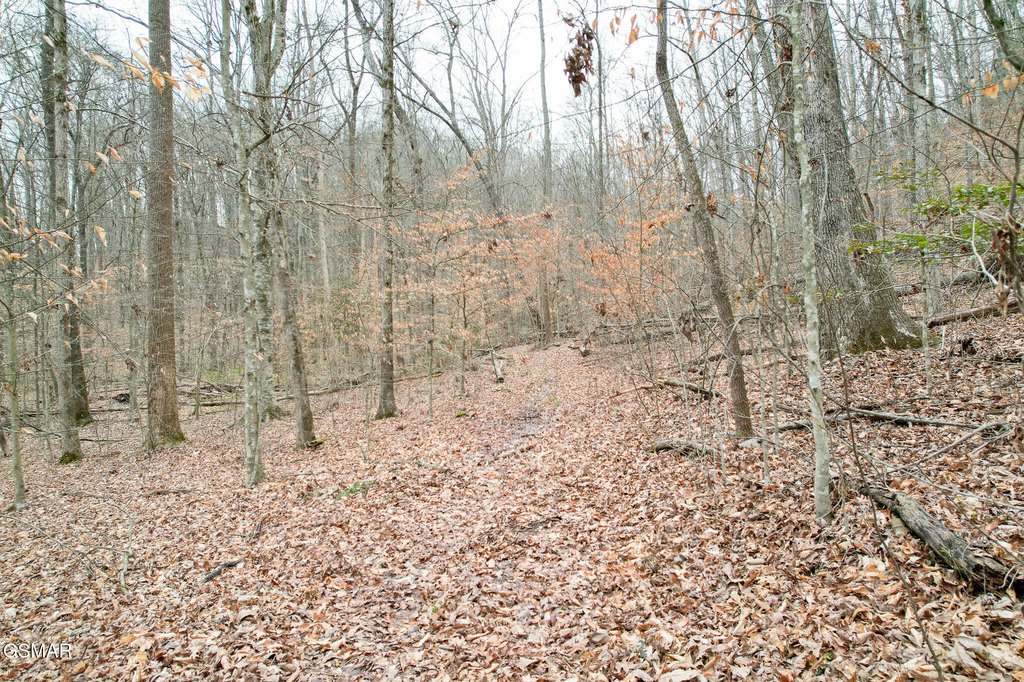 Picture 16