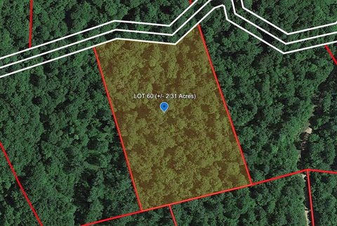 Wooded Land in Bragg, WV