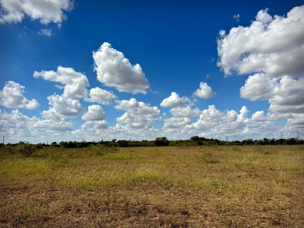 Picture 19