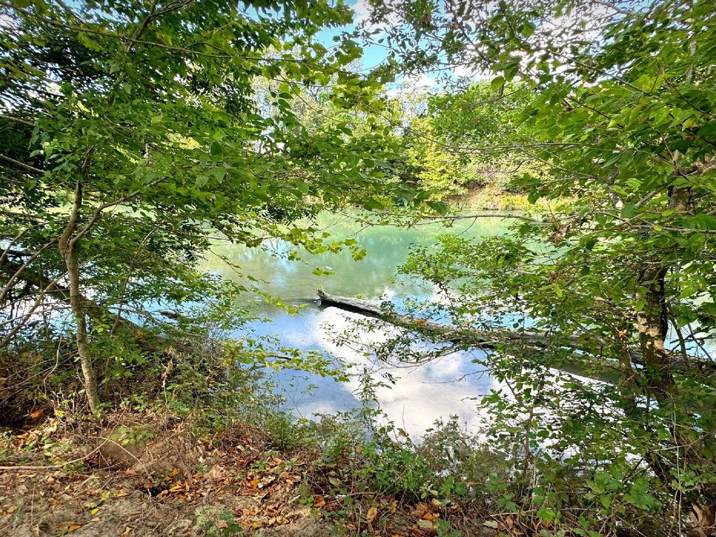 Picture 8