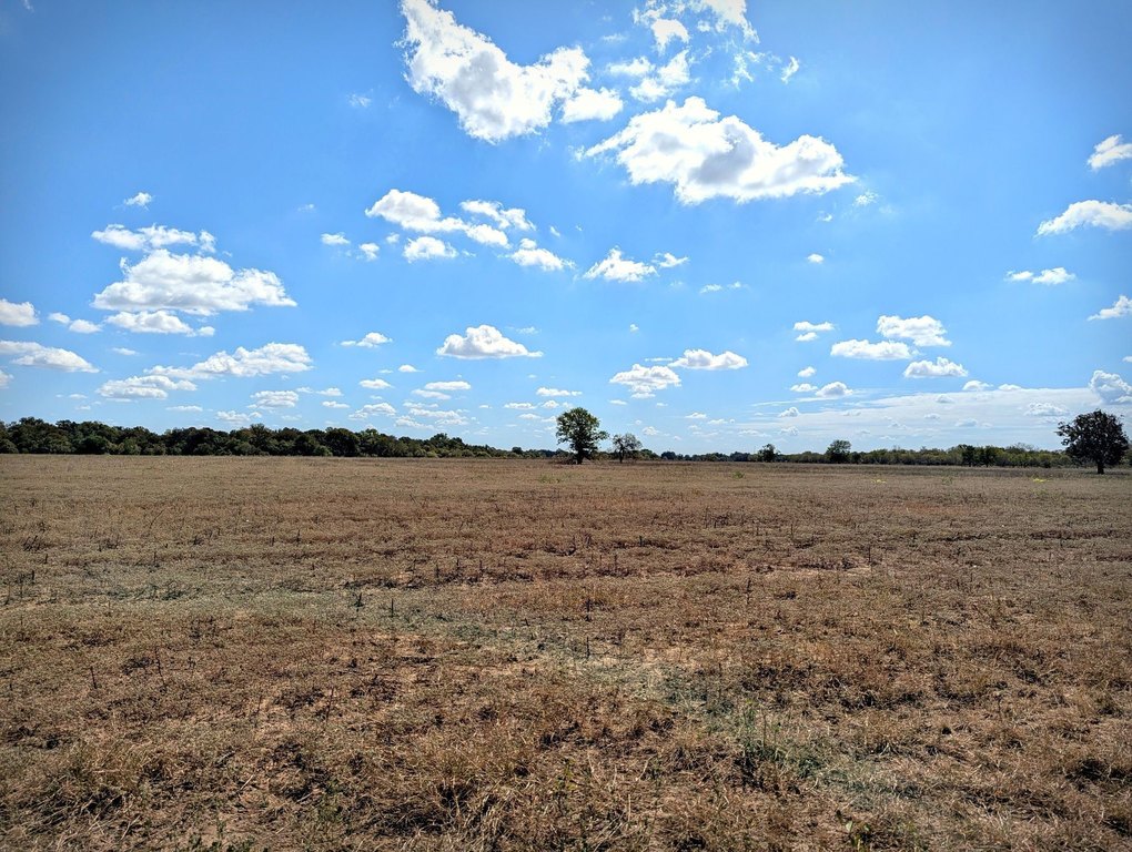 Picture 25