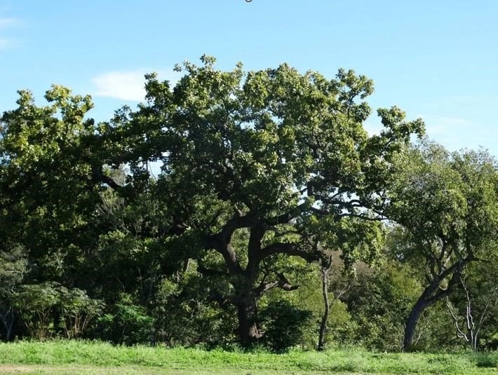 Picture 13