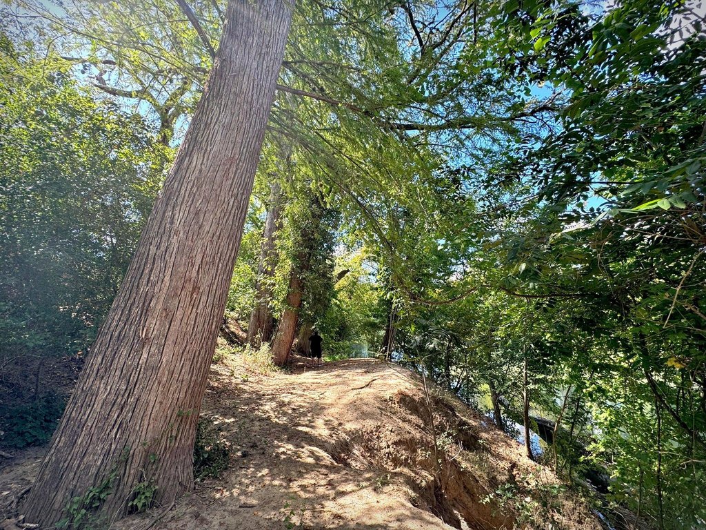 Picture 29
